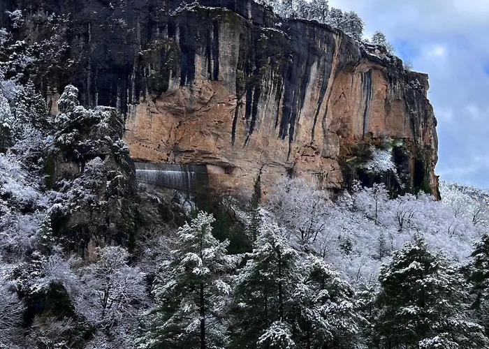 La Colmena